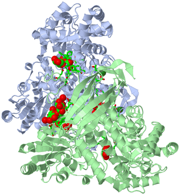 Image Asym./Biol. Unit - sites