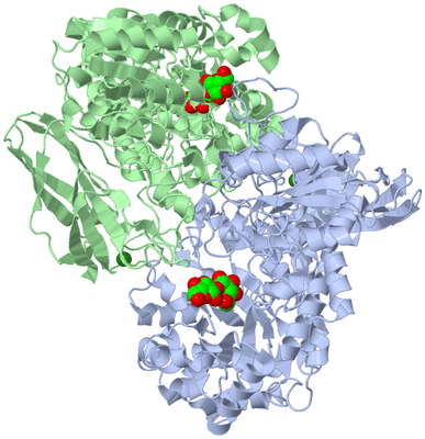 Image Asym./Biol. Unit