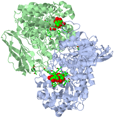 Image Asym./Biol. Unit - sites