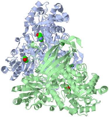 Image Asym./Biol. Unit