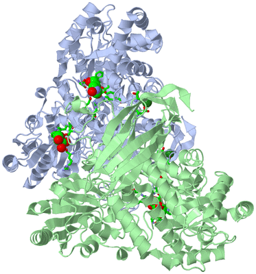 Image Asym./Biol. Unit - sites