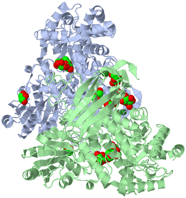 Image Asym./Biol. Unit