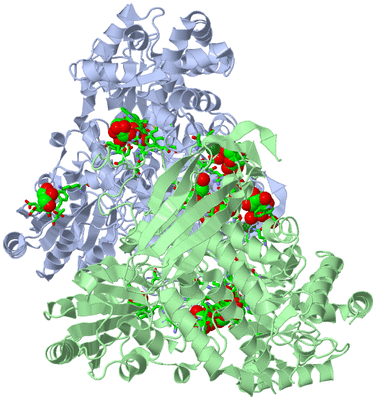 Image Asym./Biol. Unit - sites