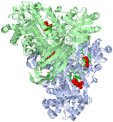 Image Asym./Biol. Unit - sites