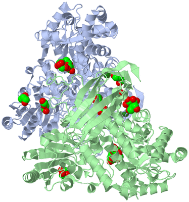 Image Asym./Biol. Unit