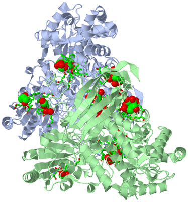 Image Asym./Biol. Unit - sites