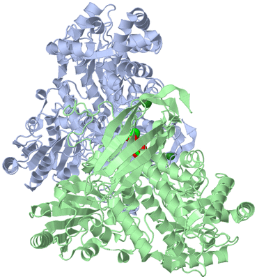 Image Asym./Biol. Unit