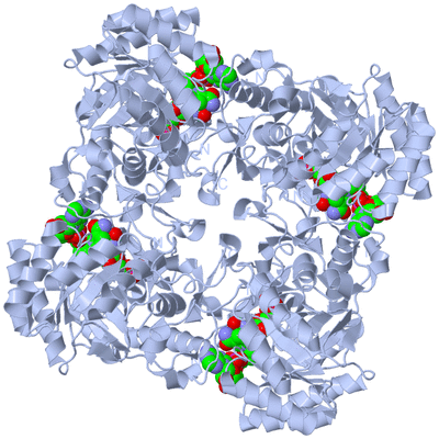 Image Biological Unit 1