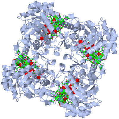 Image Biol. Unit 1 - sites