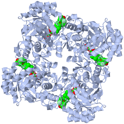 Image Biological Unit 1