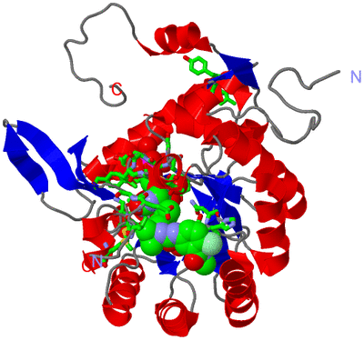 Image Asym. Unit - sites