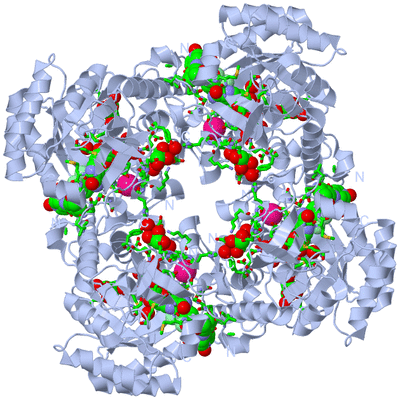 Image Biol. Unit 1 - sites