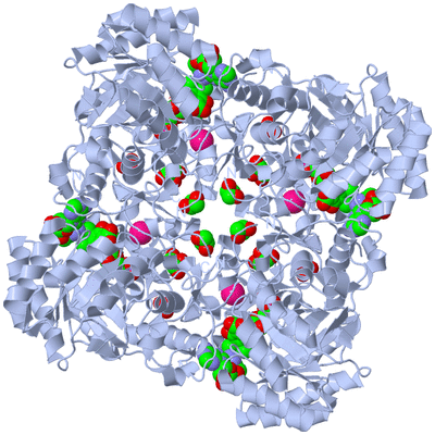 Image Biological Unit 1