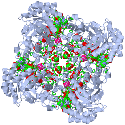 Image Biol. Unit 1 - sites