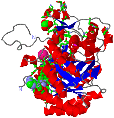 Image Asym. Unit - sites