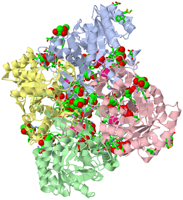 Image Asym./Biol. Unit - sites