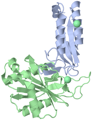 Image Asym./Biol. Unit