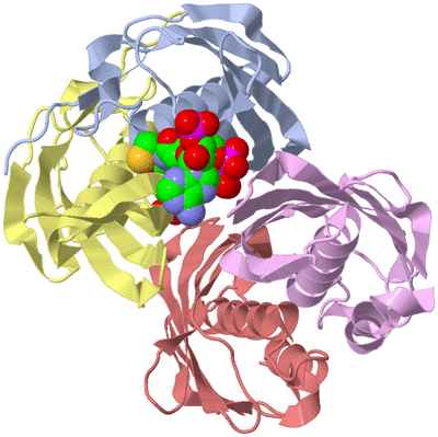 Image Biological Unit 1