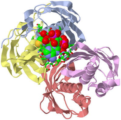 Image Biol. Unit 1 - sites