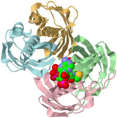 Image Biological Unit 2