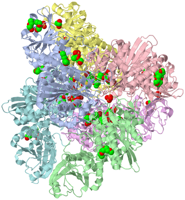 Image Biological Unit 1