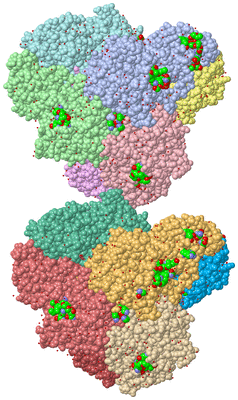 Image Asym. Unit - sites