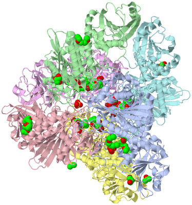 Image Biological Unit 1