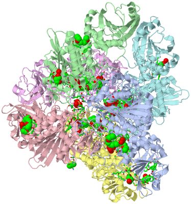 Image Biol. Unit 1 - sites