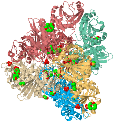 Image Biological Unit 2