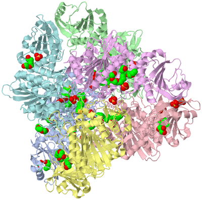 Image Biological Unit 1