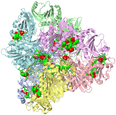 Image Biol. Unit 1 - sites