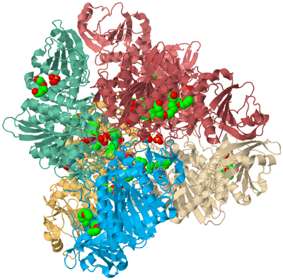 Image Biological Unit 2