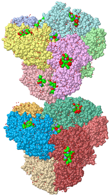 Image Asym. Unit - sites