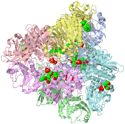 Image Biological Unit 1