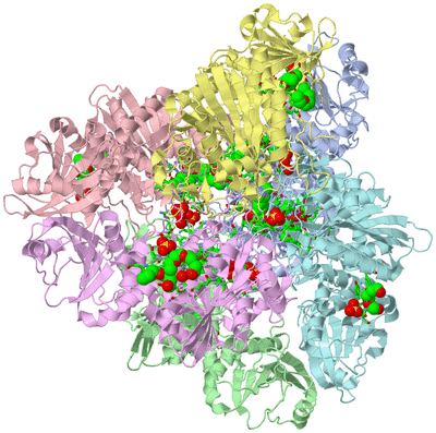 Image Biol. Unit 1 - sites