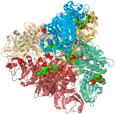 Image Biological Unit 2