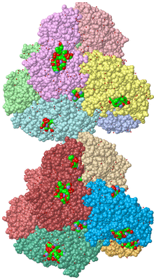 Image Asym. Unit - sites