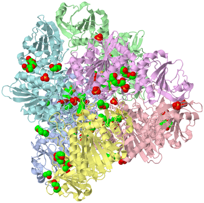 Image Biological Unit 1