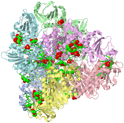 Image Biol. Unit 1 - sites