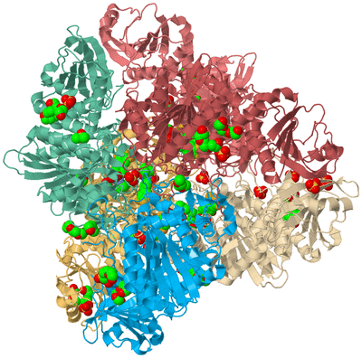 Image Biological Unit 2