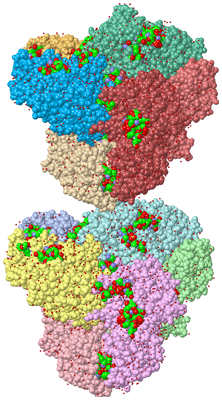 Image Asym. Unit - sites