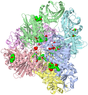 Image Biological Unit 1