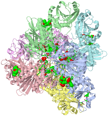 Image Biol. Unit 1 - sites