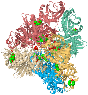 Image Biological Unit 2