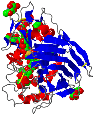 Image Asym./Biol. Unit