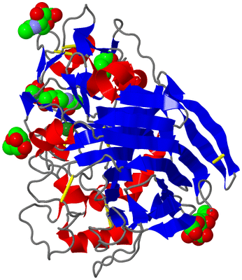 Image Asym./Biol. Unit