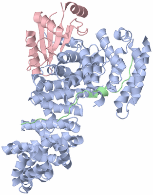 Image Asym./Biol. Unit