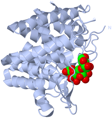 Image Biological Unit 1