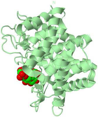 Image Biological Unit 2