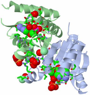 Image Biol. Unit 1 - sites